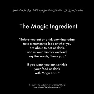 The Magic Ingredient - 28 Day Gratitude Practice - Jo Lyn Cornelsen
