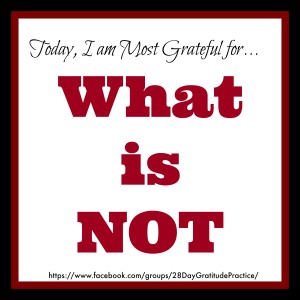 Grateful for What is NOT