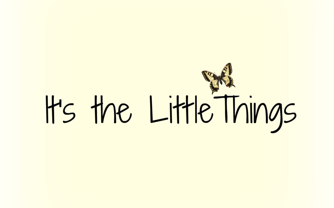 Subtle Nuances – It’s the Little Things